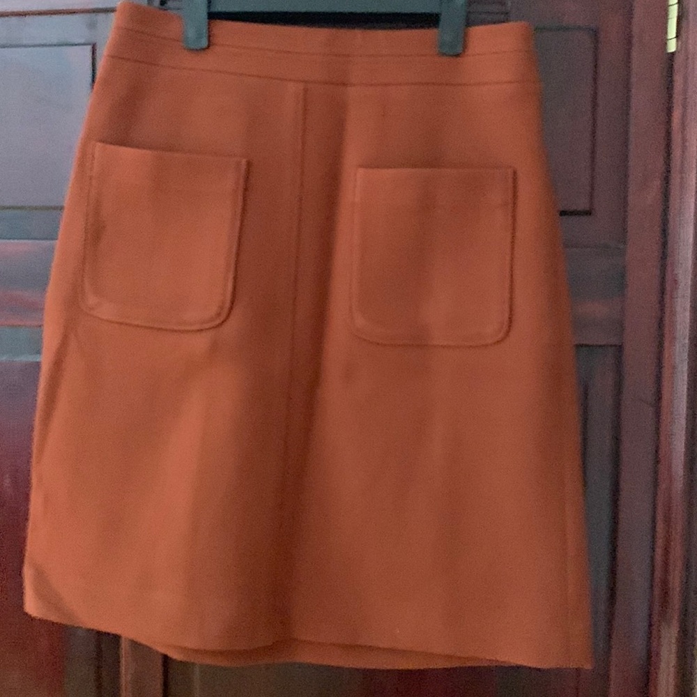 Ann taylor skirt